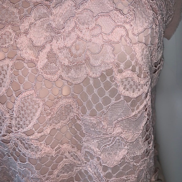 ALEXIS Intermix *Gracilia* blush pink lace sleeveless top & *Mallory* skirt S - Picture 7 of 11